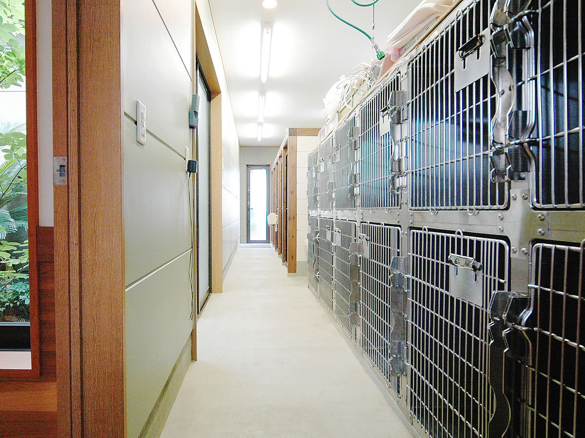 入院施設 (犬舎)